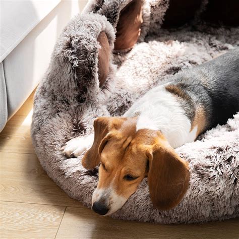 funny fuzzy dog bed|humorous dog beds.